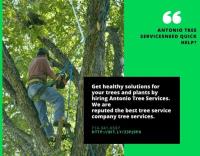 antonio -Residential Tree Service Arcadia CA image 3